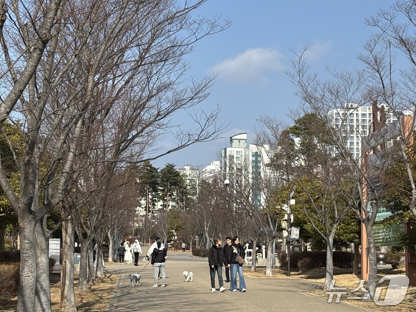 본문 이미지 - 부산시민공원을 찾은 시민들은 15도 가까운 따뜻한 날씨에 비교적 가벼운 차림으로 산책 등을 즐겼다. 2026.1.18/뉴스1 ⓒ News1 홍윤 기자