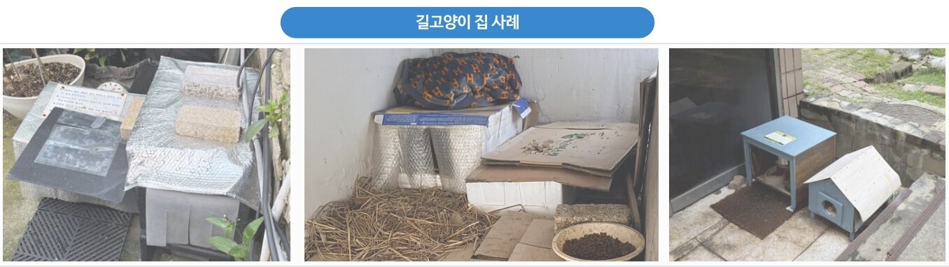 본문 이미지 - 동물보호 인식이 높아지며 길고양이 집과 밥자리가 증가하고 있는 것으로 나타났다(서울시 제공). ⓒ 뉴스1