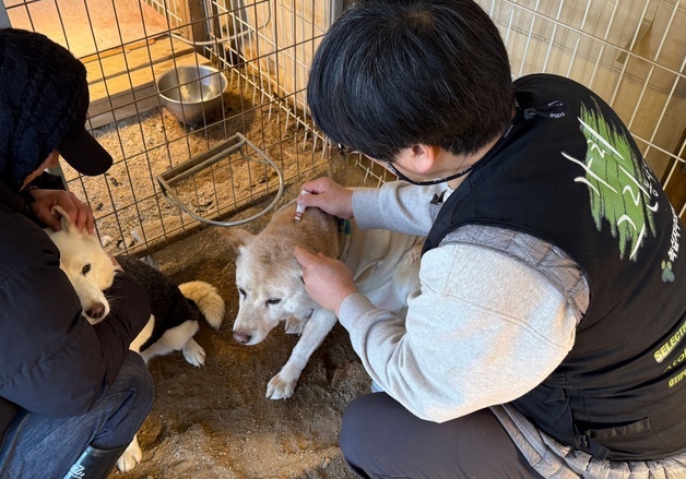 녹십자수의약품, 실험종료 비글 위해 심장사상충약 데피니트 기부