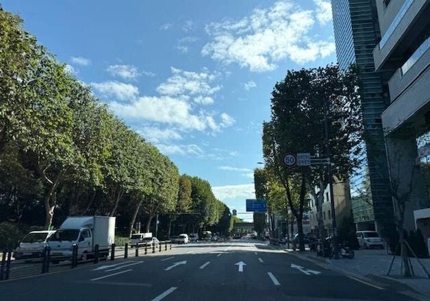 "우리동네 가로수, 지도에서 한 눈에"…서울시 '트리맵' 운영