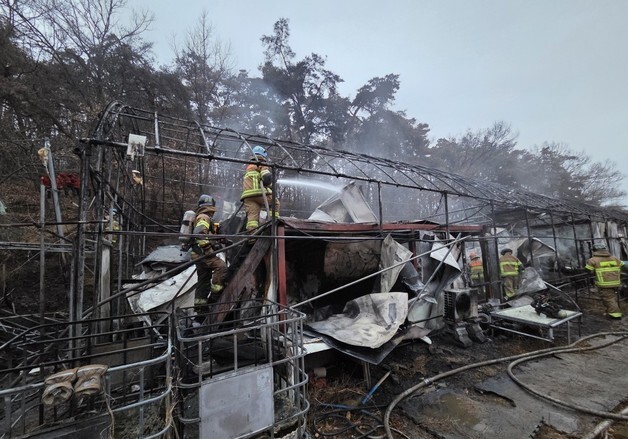 대구 달성군 비닐하우스·북구 농막 화재…인명피해 없어