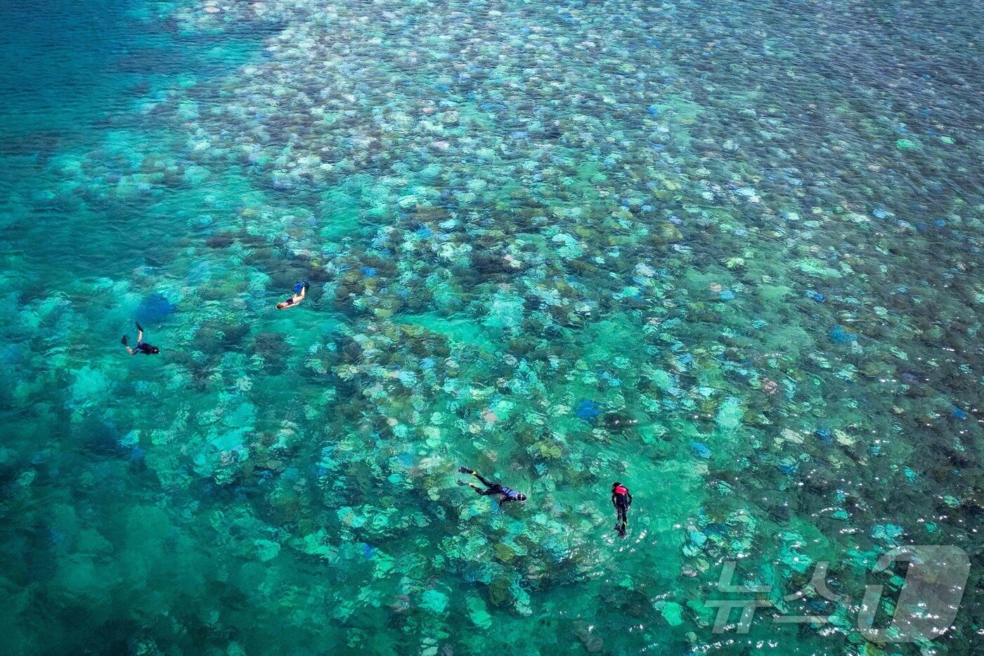 본문 이미지 - 그레이트 배리어 리프 ⓒ AFP=뉴스1