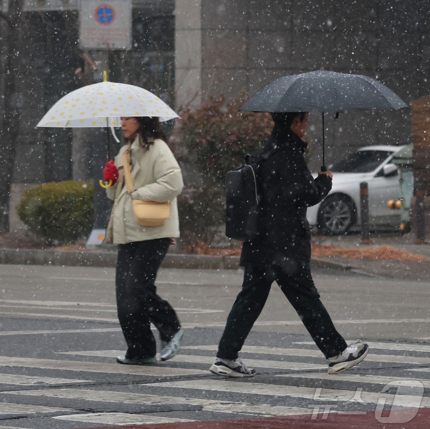 (전주=뉴스1) 유경석 기자 = 진눈깨비가 내린 19일 전북 전주시 기린대로에서 우산을 쓴 시민들이 발걸음을 옮기고 있다. 2026.1.19/뉴스1