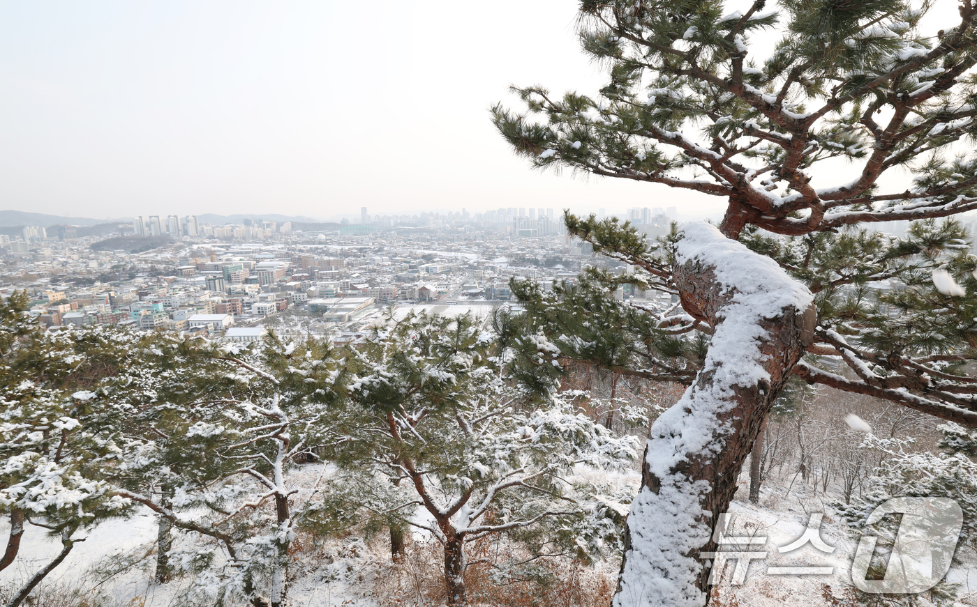 (수원=뉴스1) 김영운 기자 = 간밤에 눈이 내린 19일 경기 수원시 팔달구 팔달산에서 바라본 수원 시내 곳곳이 눈으로 쌓여있다. 2026.1.19/뉴스1