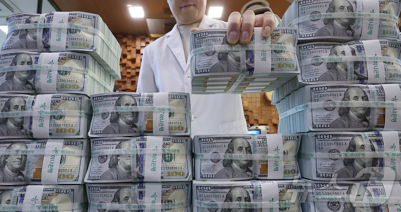 (서울=뉴스1) 김성진 기자 = 환리스크에 노출된 우리나라의 달러자산 규모가 외환시장 규모의 25배에 달한다는 국제통화기금(IMF)의 경고가 나왔다.18일 IMF가 발간한 '글로벌 …