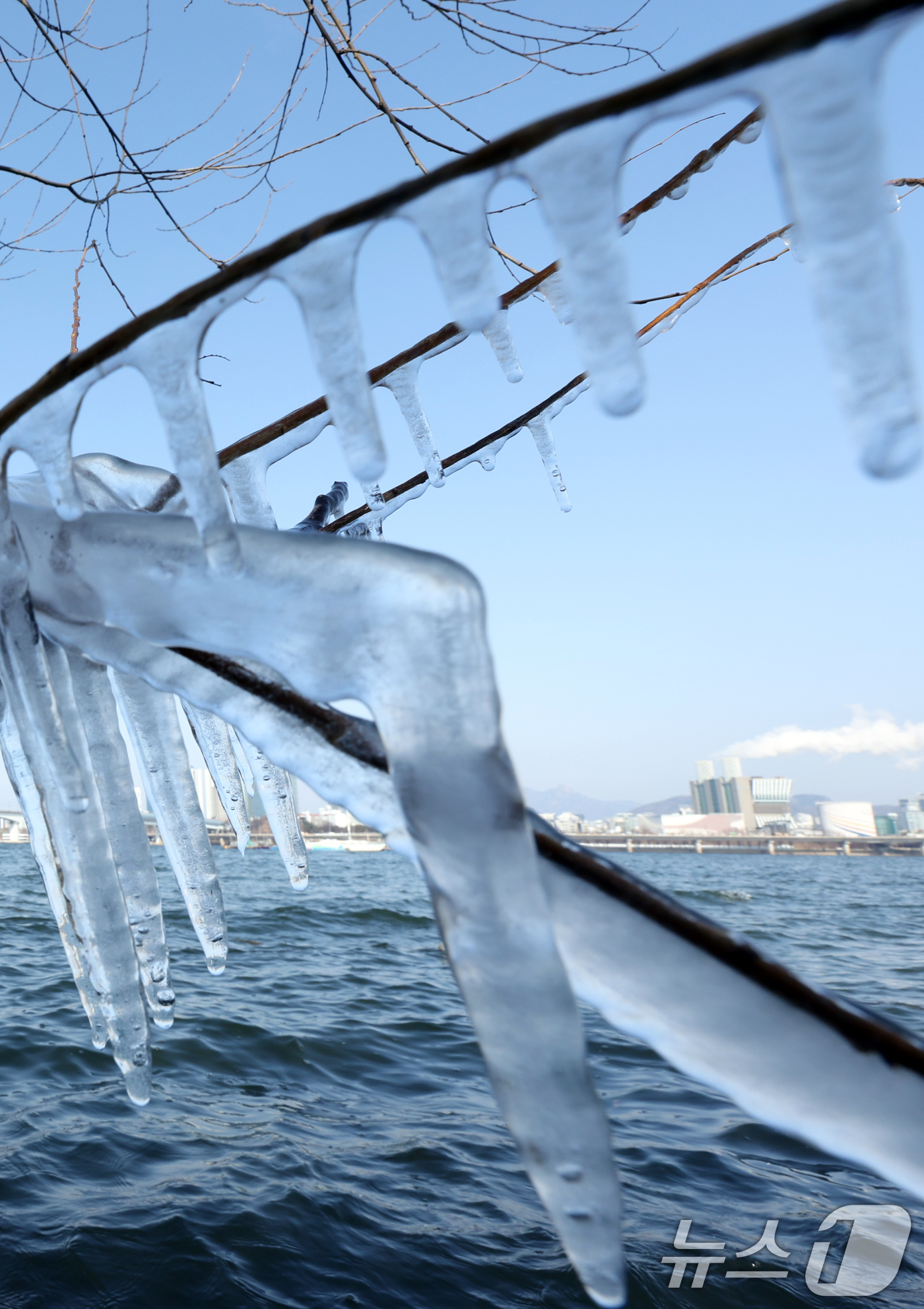 (서울=뉴스1) 김명섭 기자 = 영하권의 낮 기온을 보인 19일 서울시 영등포구 한강변에 고드름이 열려 있다 한편 기상청은 대한인 20일 서울 기온이 영하 13도까지 곤두박질해 올 …