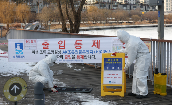 수원 원천저수지 야생조류 폐사체서 고병원성 AI 검출