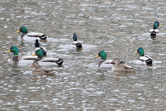 매서운 한파 찾아온다