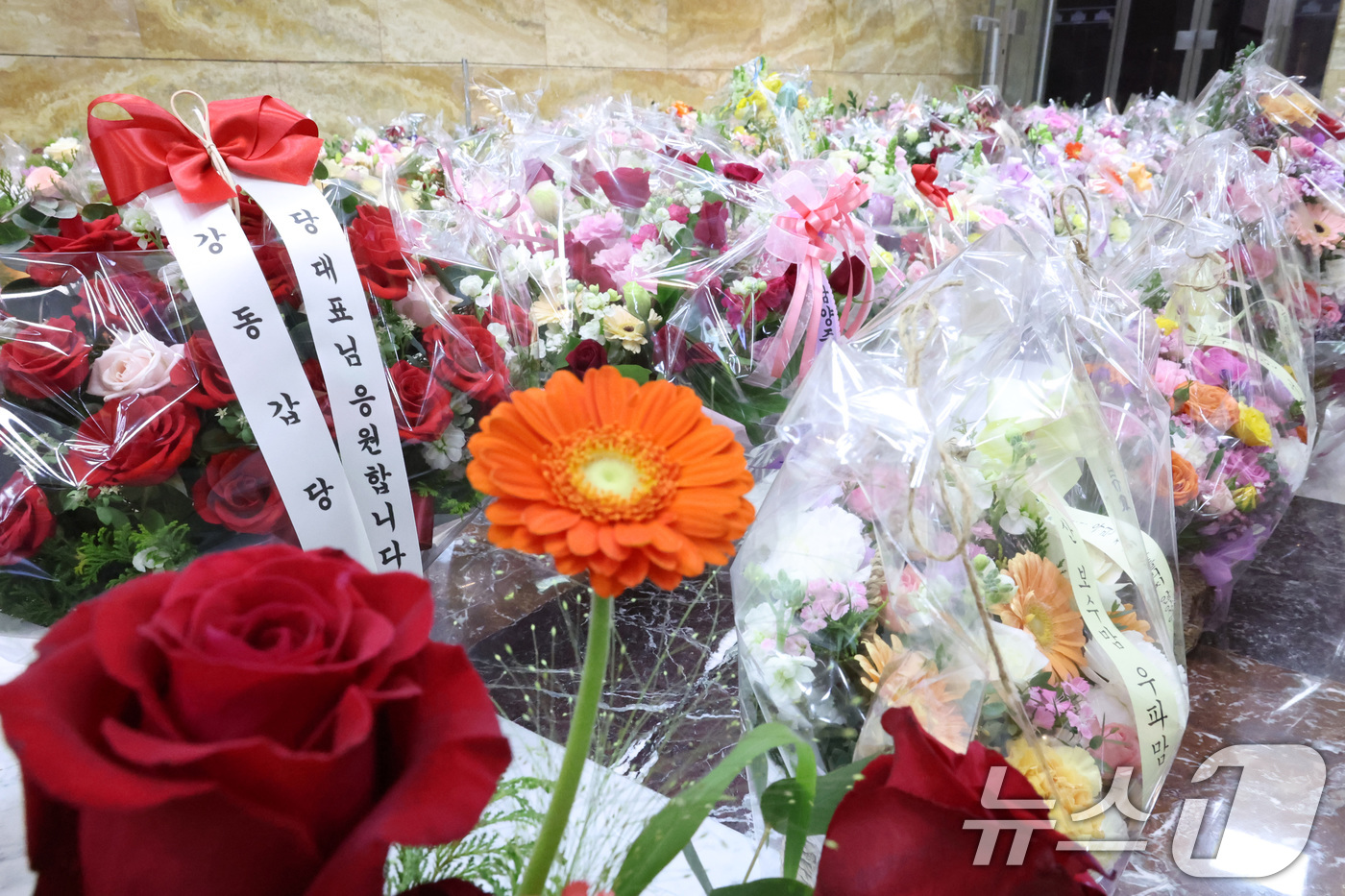 (서울=뉴스1) 신웅수 기자 = 19일 서울 여의도 국회 로텐더홀에 마련된 장동혁 국민의힘 대표 단식 농성장 앞에 장 대표를 응원하는 꽃이 놓여져 있다. 2026.1.19/뉴스1