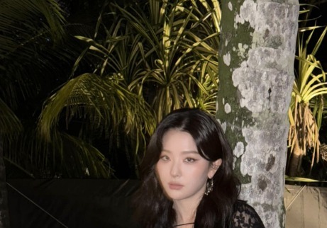 레드벨벳 슬기, 이렇게 섹시했나… 깜짝 놀랄 시스루룩 [N샷]