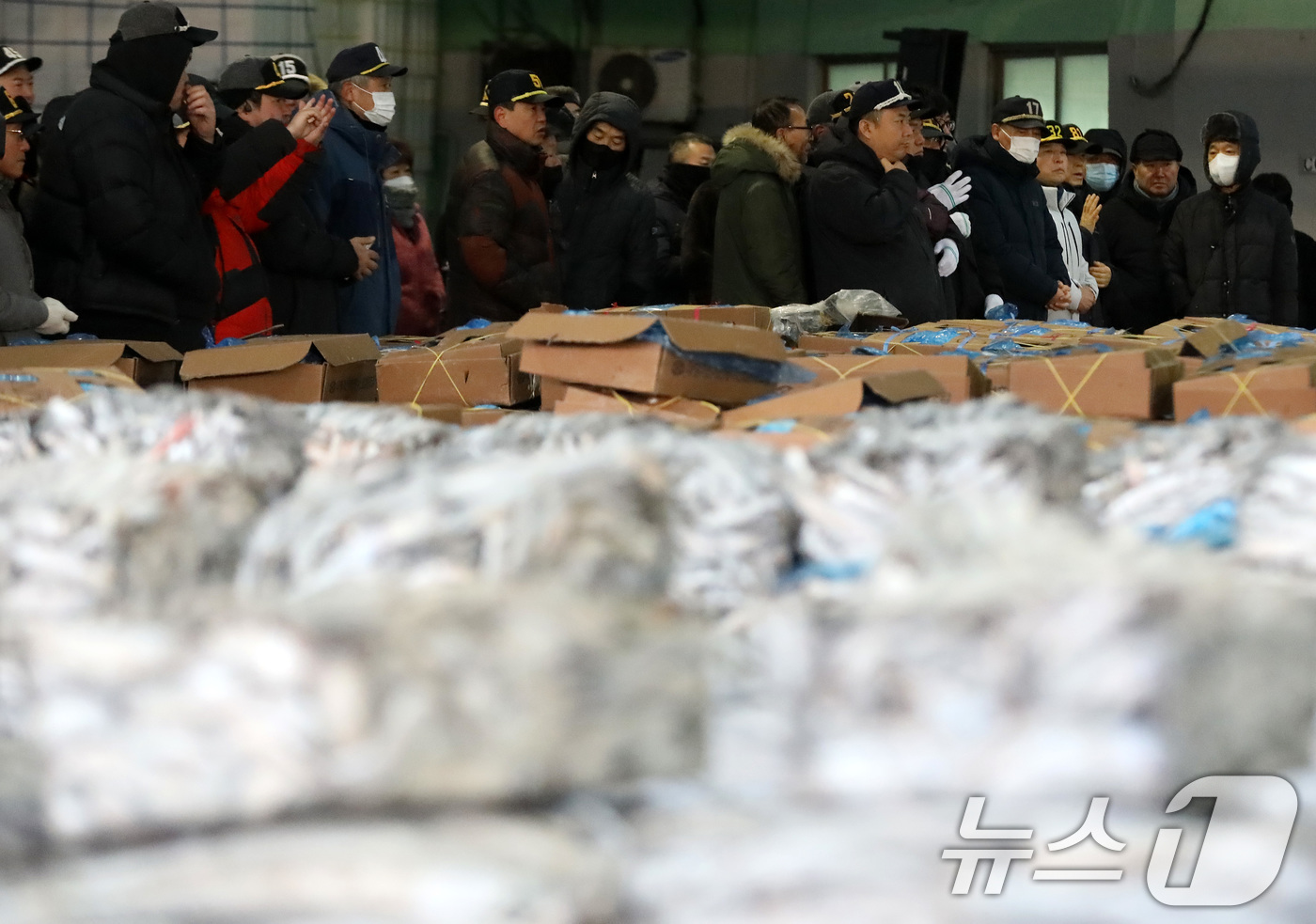(부산=뉴스1) 윤일지 기자 = 2일 오전 부산 서구 부산공동어시장에서 중도매인들이 힘찬 손짓으로 새해 첫 수산물 경매를 진행하고 있다.  2026.1.2/뉴스1
