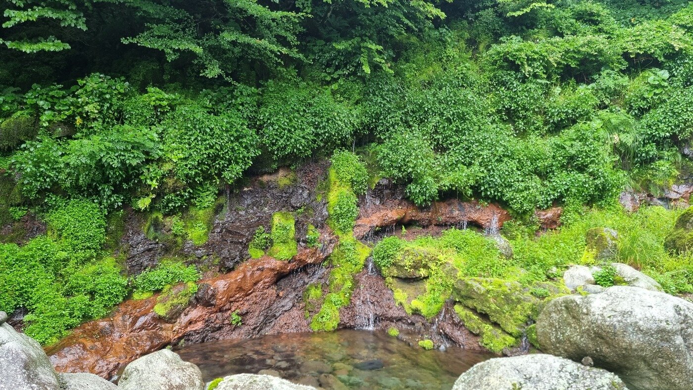본문 이미지 - 화산암층과 용천수 근경(국가유산청 제공)