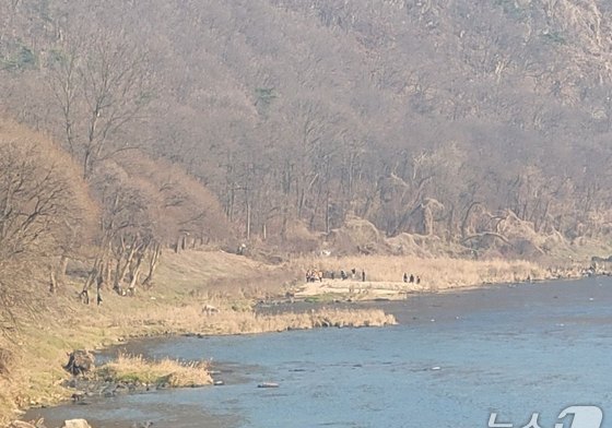 "영동 금강변 발견 시신은 천태산 실종 노인"…국과수 DNA검사 결과