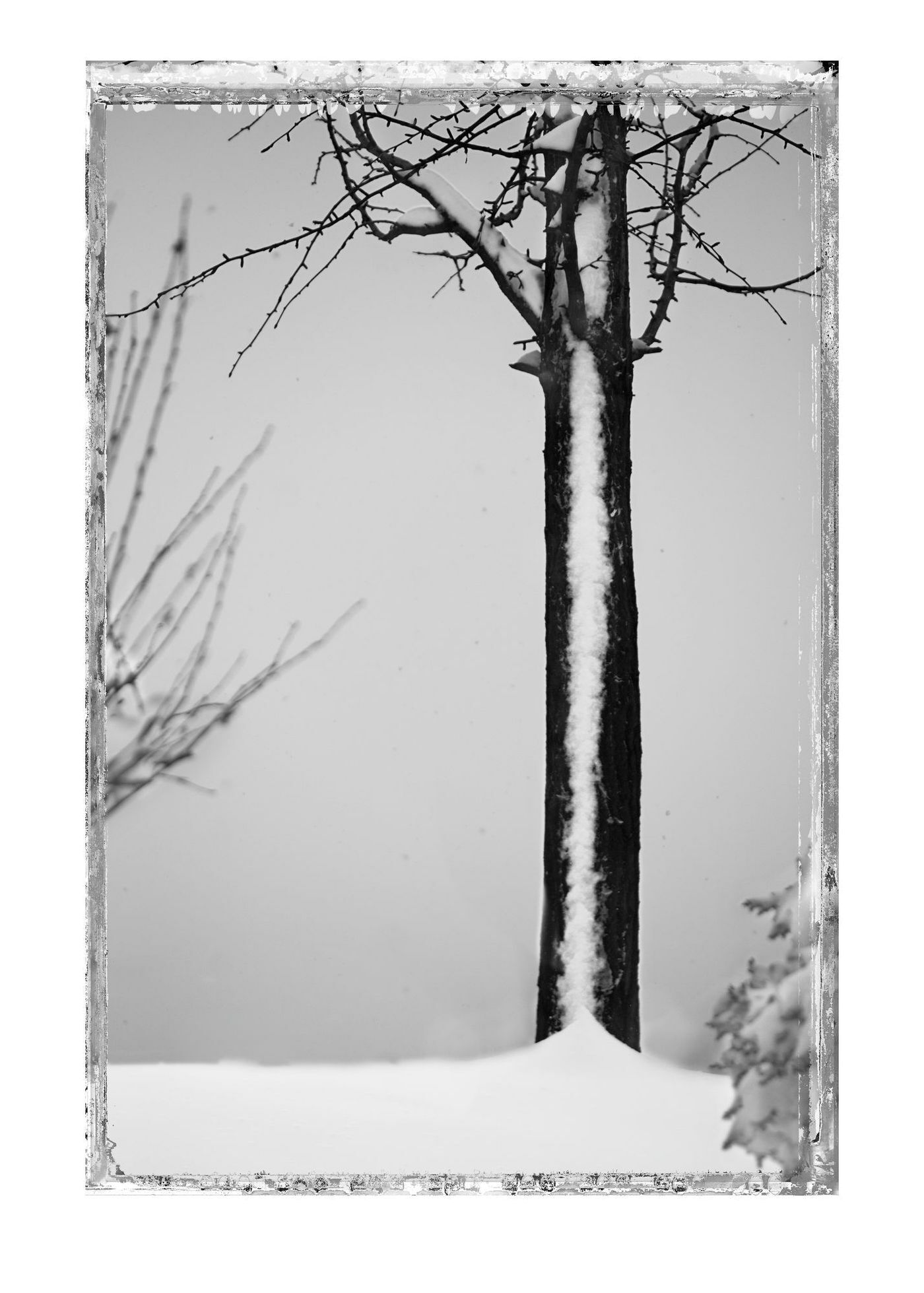 본문 이미지 - 김중만, THE ONE AND ONLY DAY THE SNOW STAYED 2010 (토포하우스 제공)