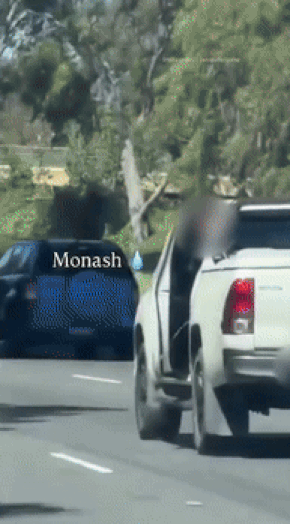 본문 이미지 - (틱톡 갈무리)