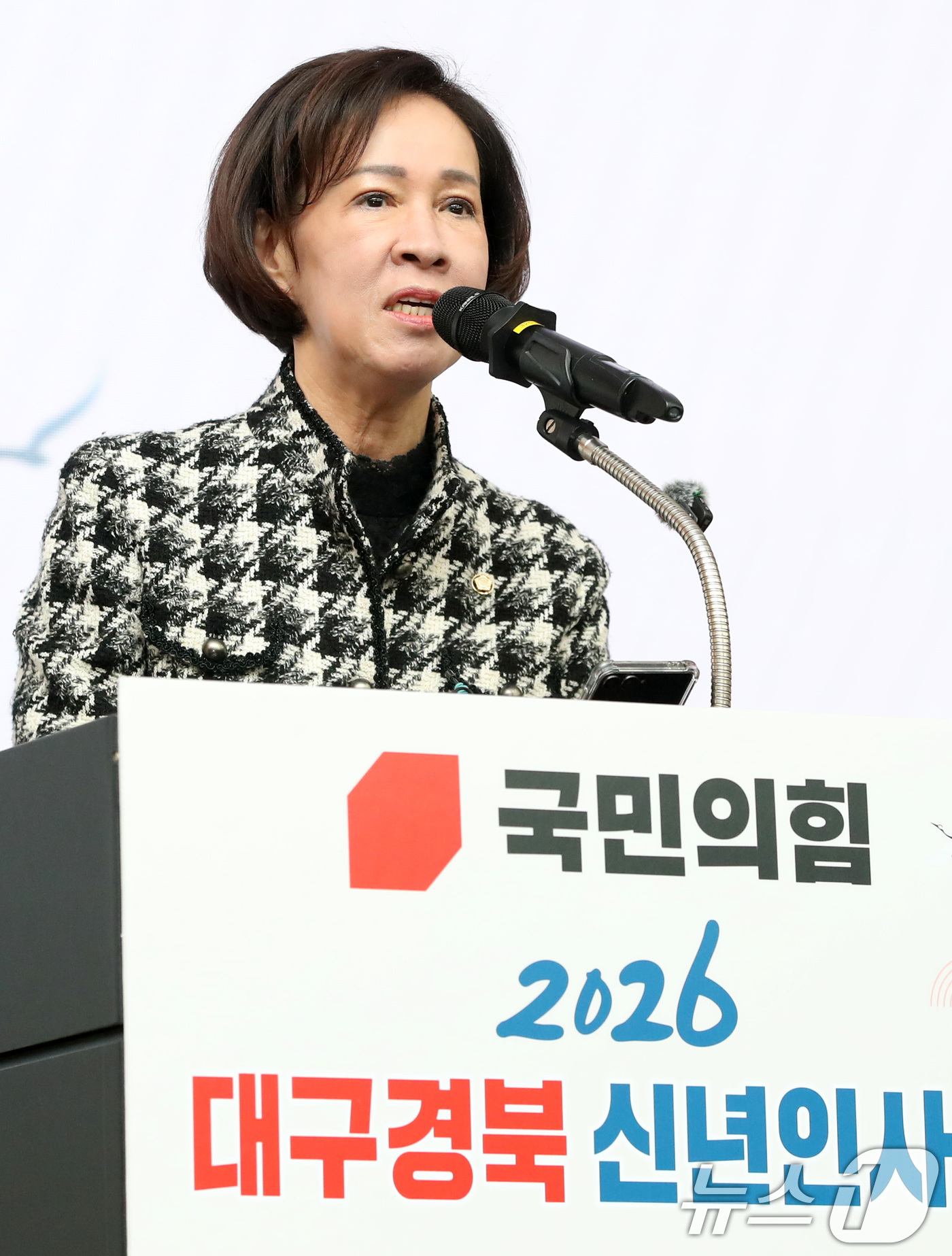 (대구=뉴스1) 공정식 기자 = 이인선 국민의힘 대구시당위원장이 2일 오후 대구 북구 엑스코(EXCO)에서 열린 '2026 국민의힘 대구·경북 신년인사회'에서 신년 인사를 하고 있 …