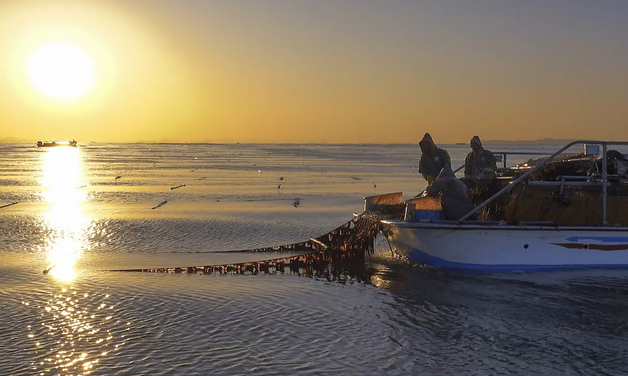 지난해 충남 수산식품 수출 2억3100만 달러…'김' 93% 차지
