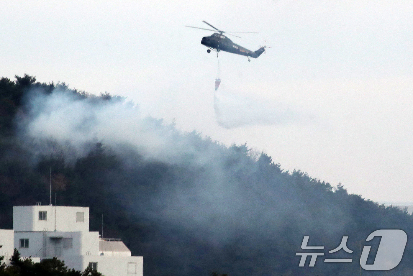 (울산=뉴스1) 윤일지 기자 = 20일 오전 울산 울주군 삼남읍 교동리 작천정계곡 인근에서 산불이 나 산불 진화 헬기가 진화 작업을 벌이고 있다.  2026.1.20/뉴스1