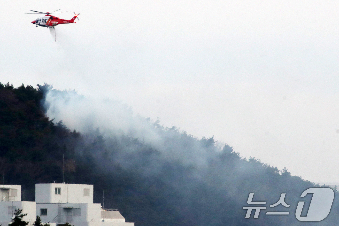 (울산=뉴스1) 윤일지 기자 = 20일 오전 울산 울주군 삼남읍 교동리 작천정계곡 인근에서 산불이 나 산불 진화 헬기가 진화 작업을 벌이고 있다.  2026.1.20/뉴스1