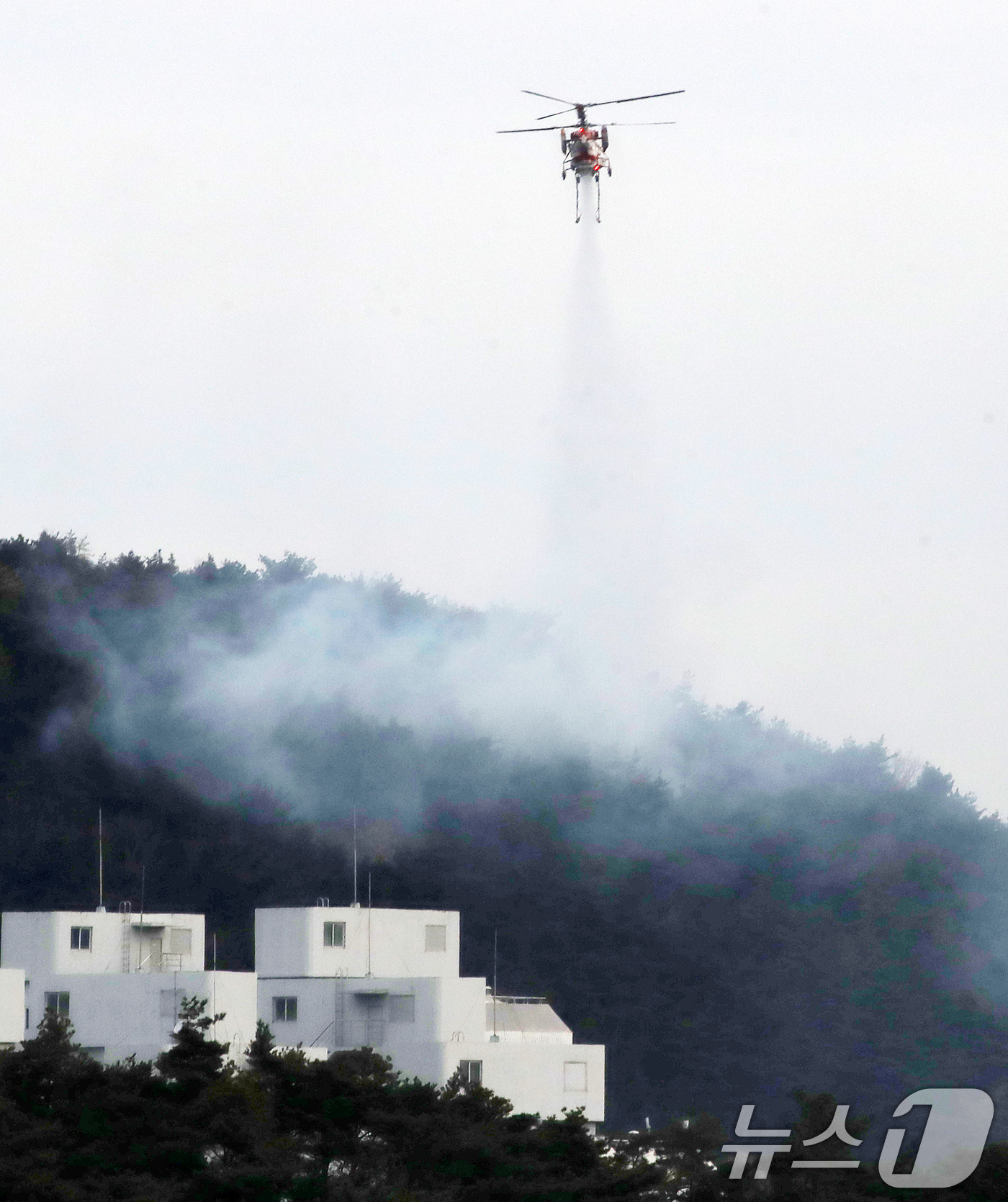 (울산=뉴스1) 윤일지 기자 = 20일 오전 울산 울주군 삼남읍 교동리 작천정계곡 인근에서 산불이 나 산불 진화 헬기가 진화 작업을 벌이고 있다.  2026.1.20/뉴스1