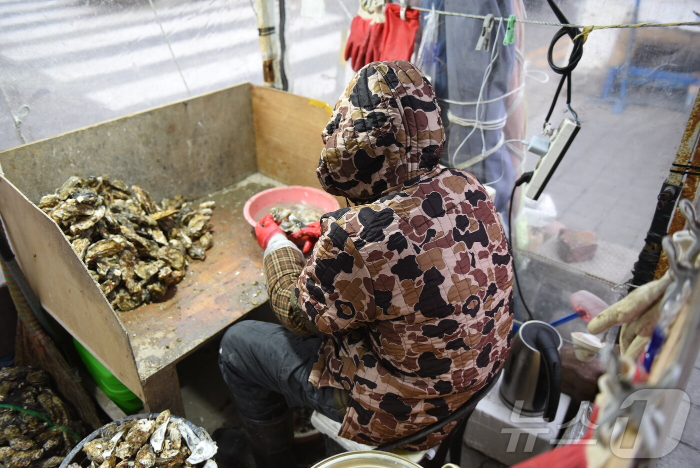 본문 이미지 - 한파가 찾아든 20일 오전 시장에서 상인이 굴을 까고 있다. ⓒ News1 김성준 기자