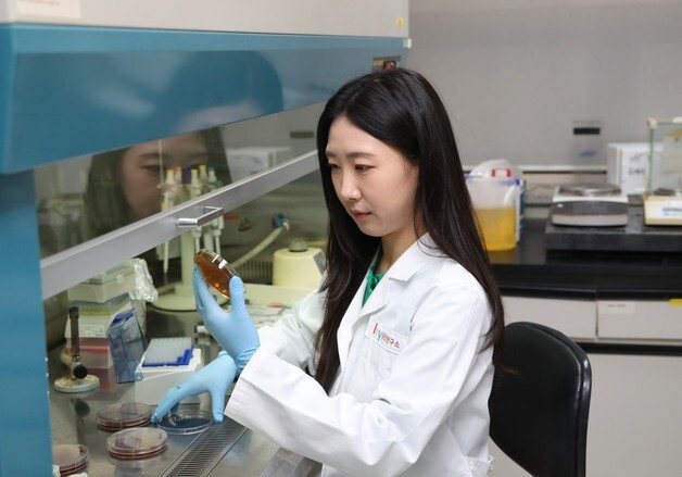 hy, 자체 개발 프로바이오틱스 'HY7017' 개별인정형 기능성 원료 인정