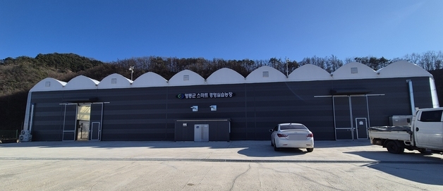 "1년 3개월 만에 시설 개선"…영동군 '스마트팜 임대농장' 눈총