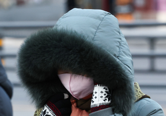 북극한파에 중무장한 시민
