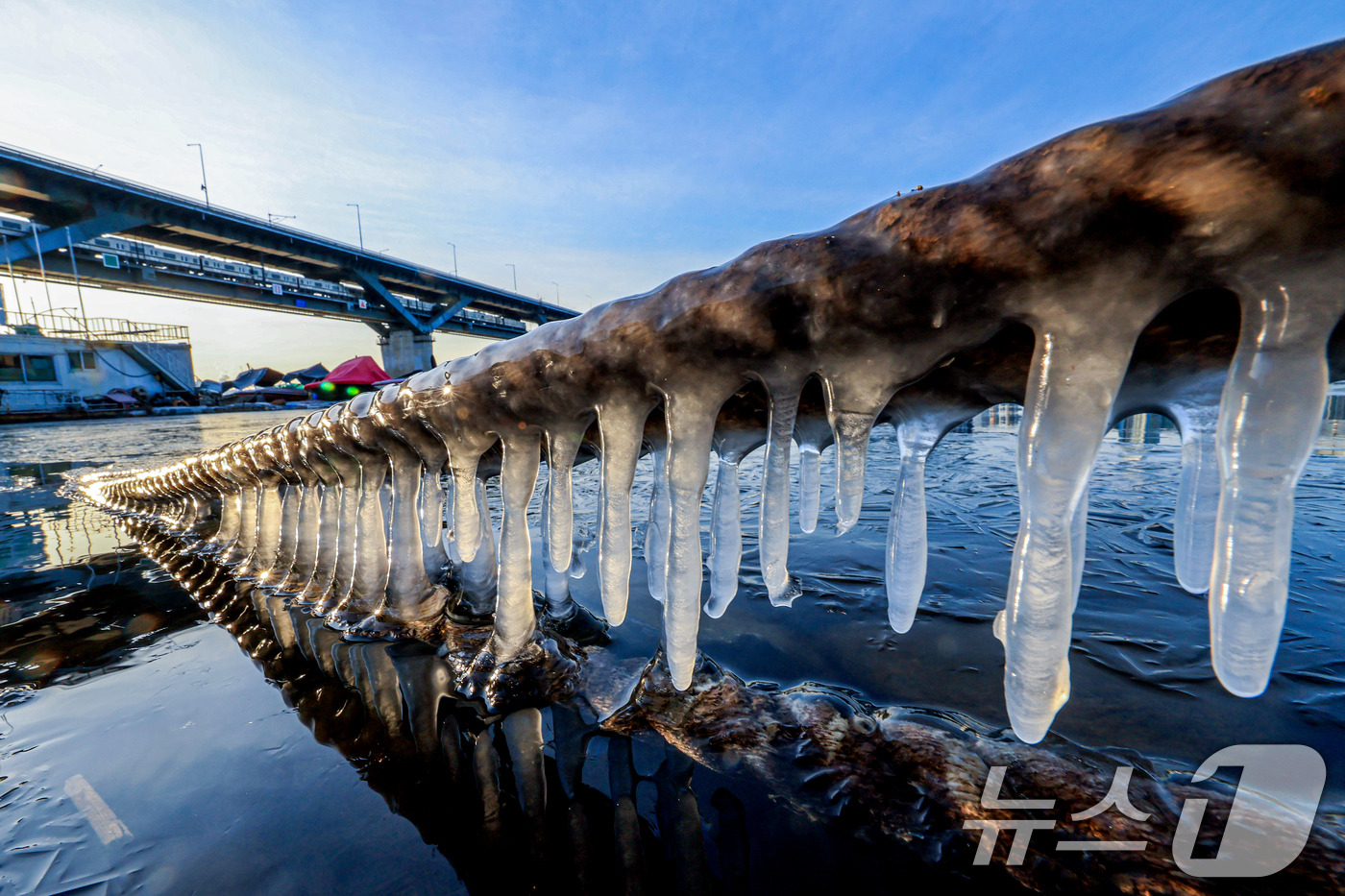 (서울=뉴스1) 이호윤 기자 = 한파주의보가 발효된 20일 서울 광진구 인근 한강에 고드름이 얼어있다. 기상청은 이날부터 전국 대부분 지역에서 아침 기온이 전날보다 10도 이상 크 …