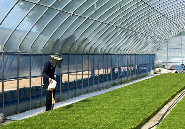 임실군 "육묘상자처리제 신청하세요"…벼 초기 병해충 예방