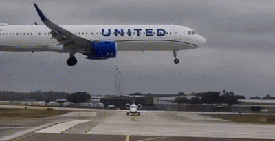 본문 이미지 - (출처=소셜미디어 엑스(X))