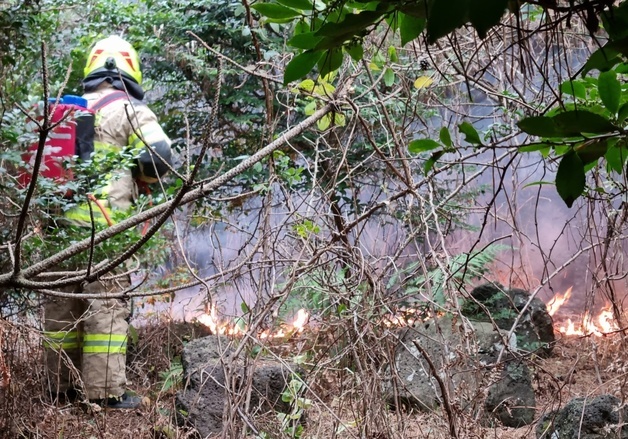 제주 풍력발전기 인근 야초지서 불…시설·인명 피해 없어