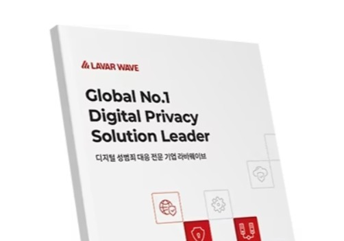 라바웨이브 "몸캠피싱 계좌정지 개정안 적극 지지"