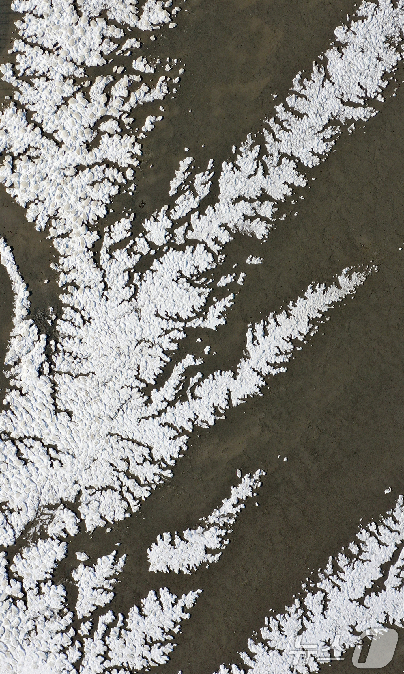 (화성=뉴스1) 김영운 기자 = '1년 중 가장 춥다'는 절기상 대한(大寒)인 20일 경기 화성시 우정읍의 갯벌이 얼어있다.기상청은 이번 한파가 21~22일까지 이어지며 절정에 달 …