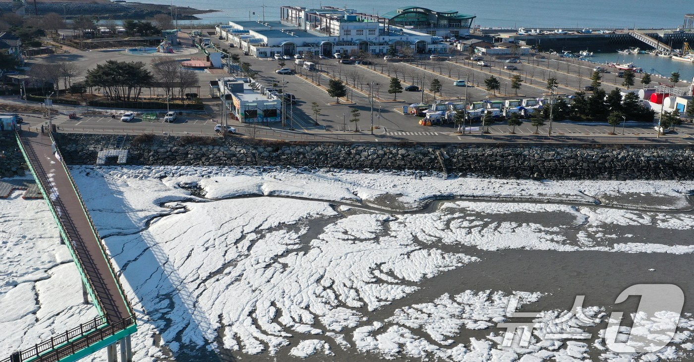 (화성=뉴스1) 김영운 기자 = '1년 중 가장 춥다'는 절기상 대한(大寒)인 20일 경기 화성시 서신면 궁평항 인근의 갯벌이 얼어있다.기상청은 이번 한파가 21~22일까지 이어지 …