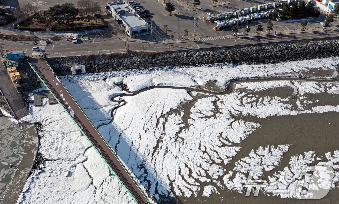 (화성=뉴스1) 김영운 기자 = '1년 중 가장 춥다'는 절기상 대한(大寒)인 20일 경기 화성시 서신면 궁평항 인근의 갯벌이 얼어있다.기상청은 이번 한파가 21~22일까지 이어지 …