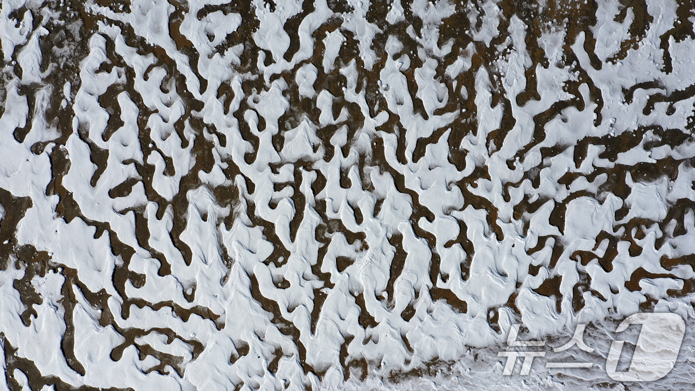 (화성=뉴스1) 김영운 기자 = '1년 중 가장 춥다'는 절기상 대한(大寒)인 20일 경기 화성시 서신면 궁평항 인근의 갯벌이 얼어있다.기상청은 이번 한파가 21~22일까지 이어지 …