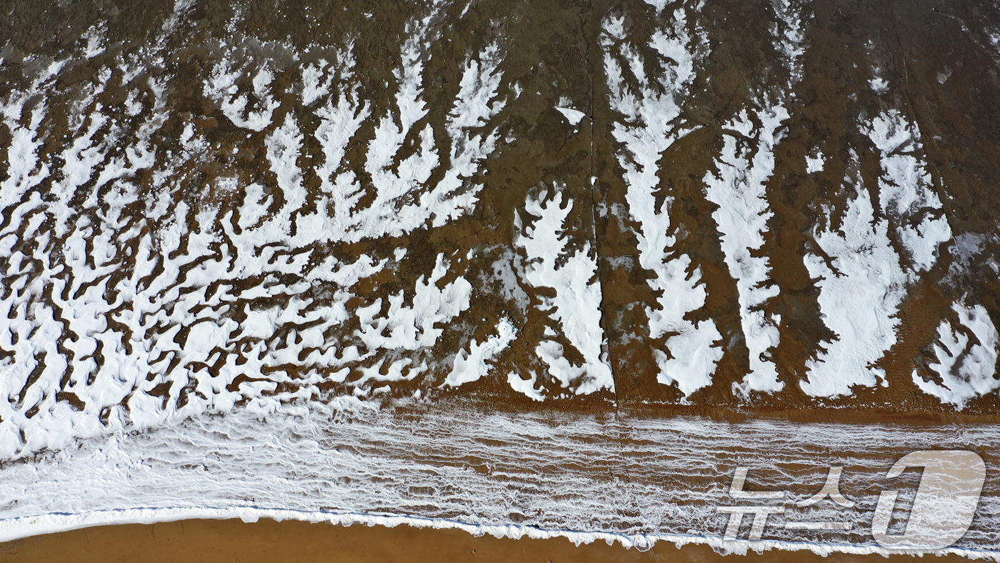 (화성=뉴스1) 김영운 기자 = '1년 중 가장 춥다'는 절기상 대한(大寒)인 20일 경기 화성시 서신면 궁평항 인근의 갯벌이 얼어있다.기상청은 이번 한파가 21~22일까지 이어지 …