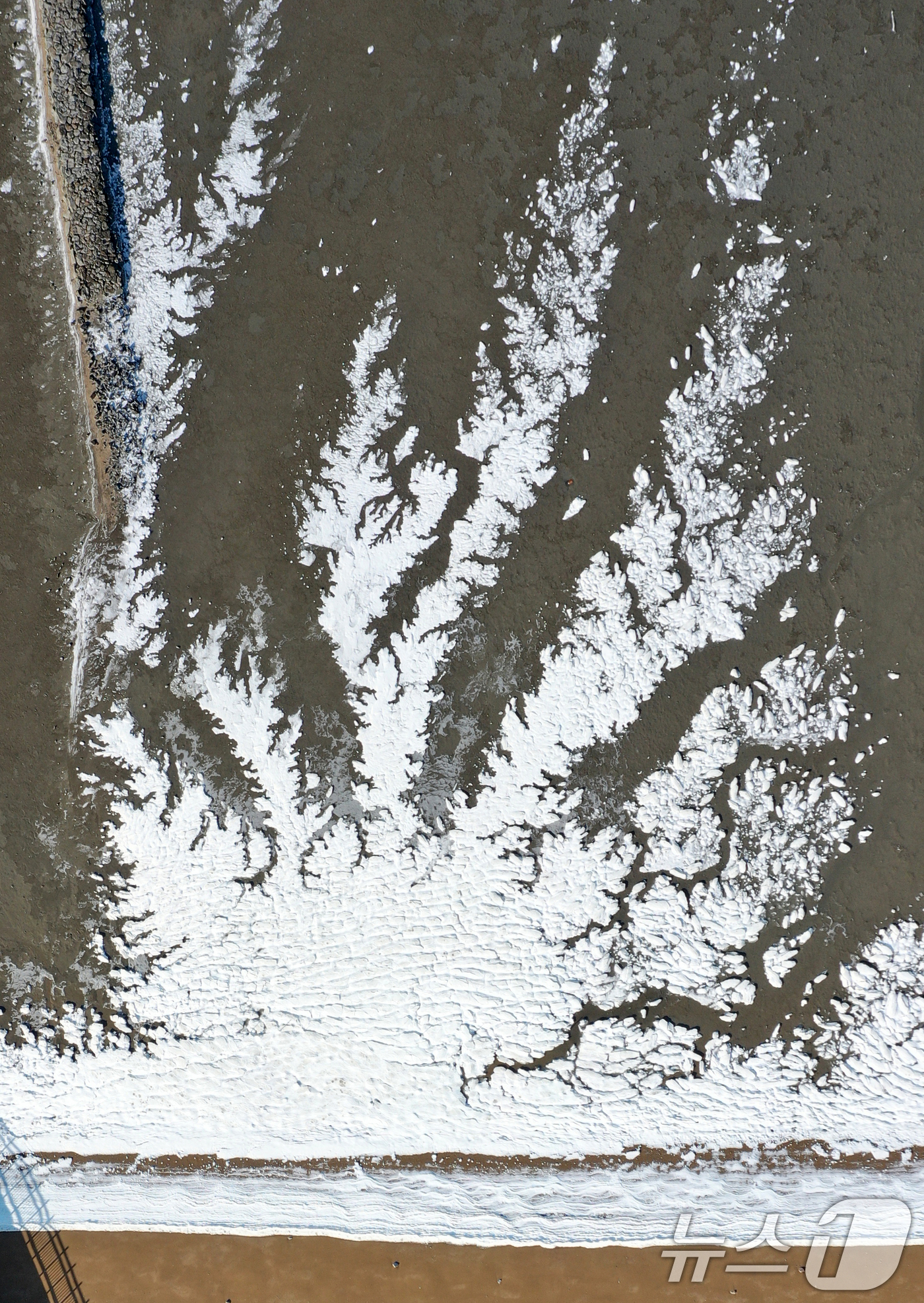 (화성=뉴스1) 김영운 기자 = '1년 중 가장 춥다'는 절기상 대한(大寒)인 20일 경기 화성시 서신면 궁평항 인근의 갯벌이 얼어있다.기상청은 이번 한파가 21~22일까지 이어지 …