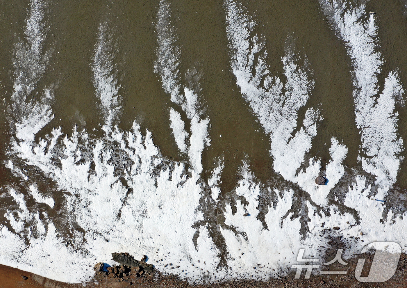 (안산=뉴스1) 김영운 기자 = '1년 중 가장 춥다'는 절기상 대한(大寒)인 20일 경기 안산시 단원구 탄도항 인근의 갯벌이 얼어있다.기상청은 이번 한파가 21~22일까지 이어지 …