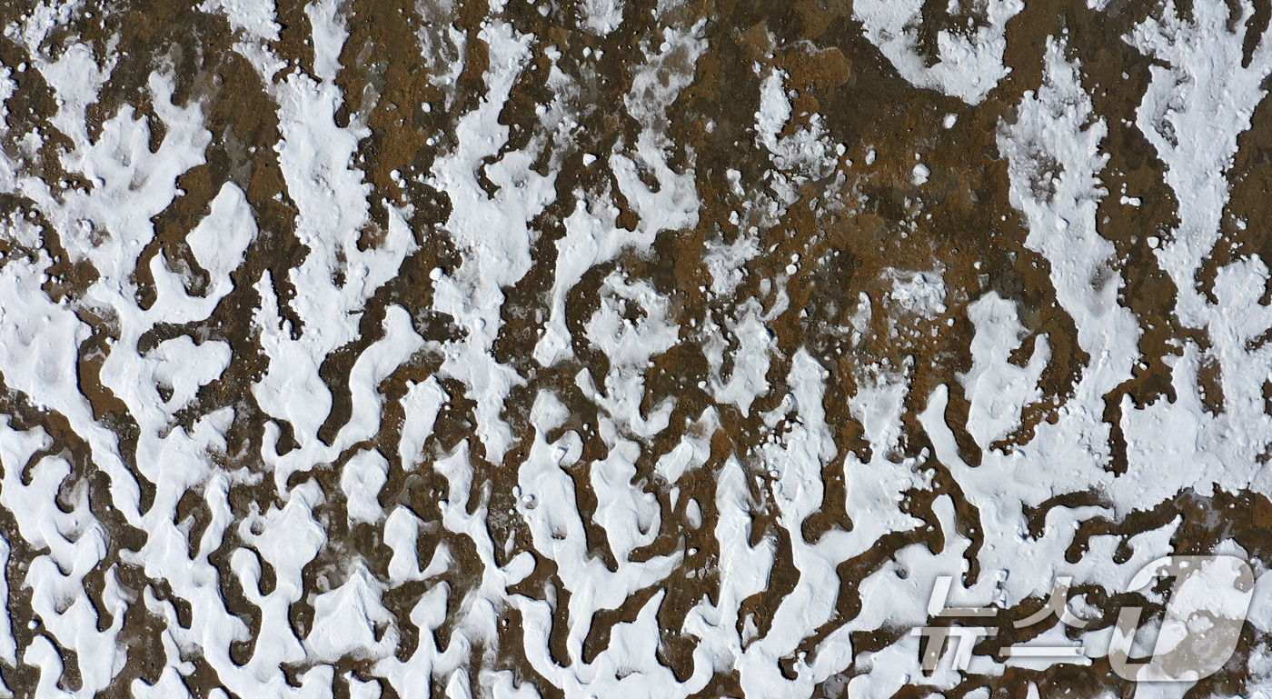 (화성=뉴스1) 김영운 기자 = '1년 중 가장 춥다'는 절기상 대한(大寒)인 20일 경기 화성시 서신면 궁평항 인근의 갯벌이 얼어있다.기상청은 이번 한파가 21~22일까지 이어지 …