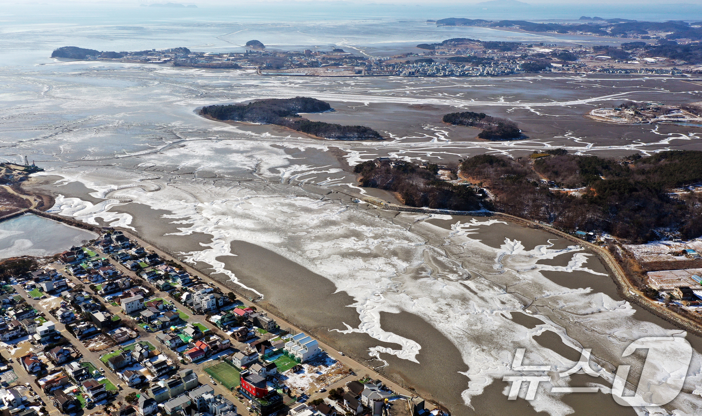 (안산=뉴스1) 김영운 기자 = '1년 중 가장 춥다'는 절기상 대한(大寒)인 20일 경기 안산시 단원구 대부도 인근의 갯벌이 얼어있다.기상청은 이번 한파가 21~22일까지 이어지 …