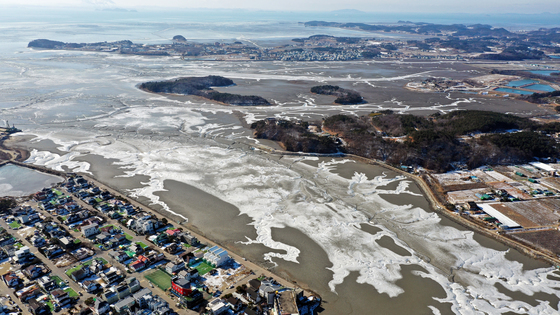 바다 얼려버린 최강 한파