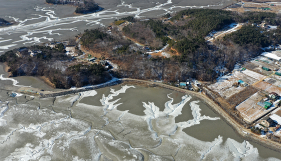 강력한 한파에 갯벌도 꽁꽁