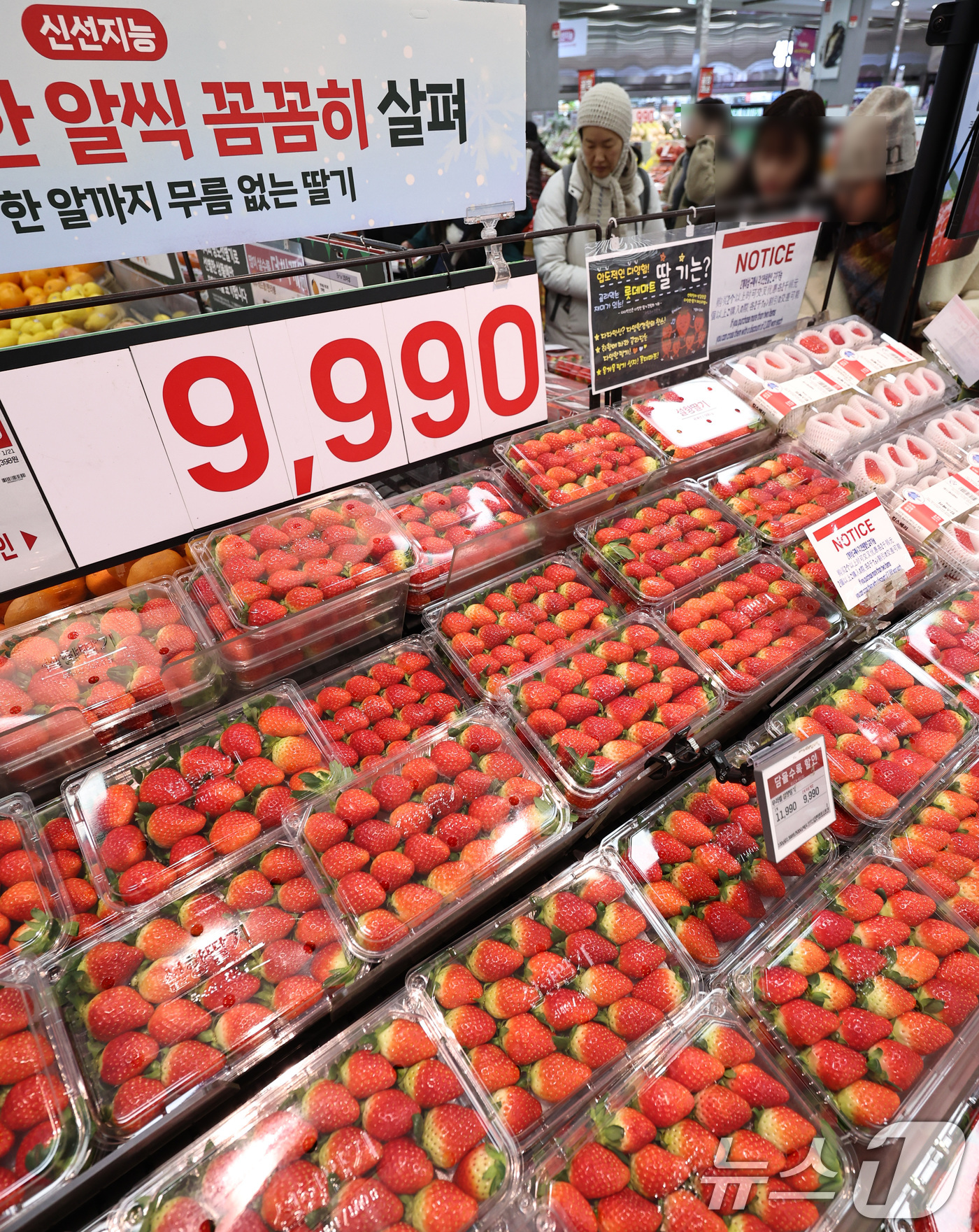 (서울=뉴스1) 구윤성 기자 = 20일 서울 시내의 한 대형마트에서 시민들이 장을 보고 있다.한국은행이 이날 발표한 '2025년 12월 생산자물가지수(잠정)'에 따르면, 농림수산품 …