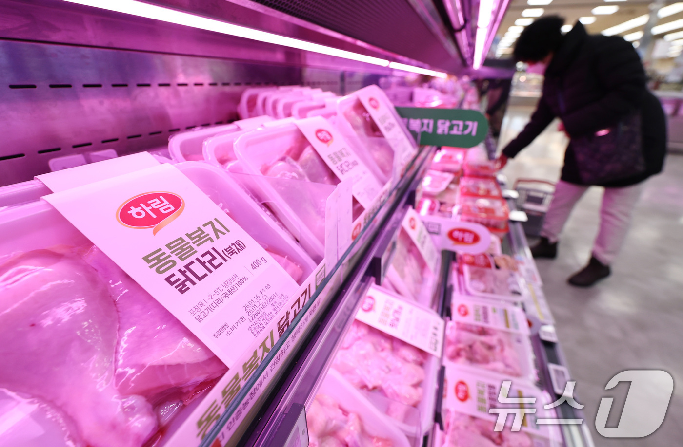 (서울=뉴스1) 구윤성 기자 = 20일 서울의 한 대형마트 매대에 닭고기가 진열돼 있다.한국은행이 이날 발표한 수입물가지수에 따르면, 지난해 12월 기준 원화 기준 수입 식품 물가 …