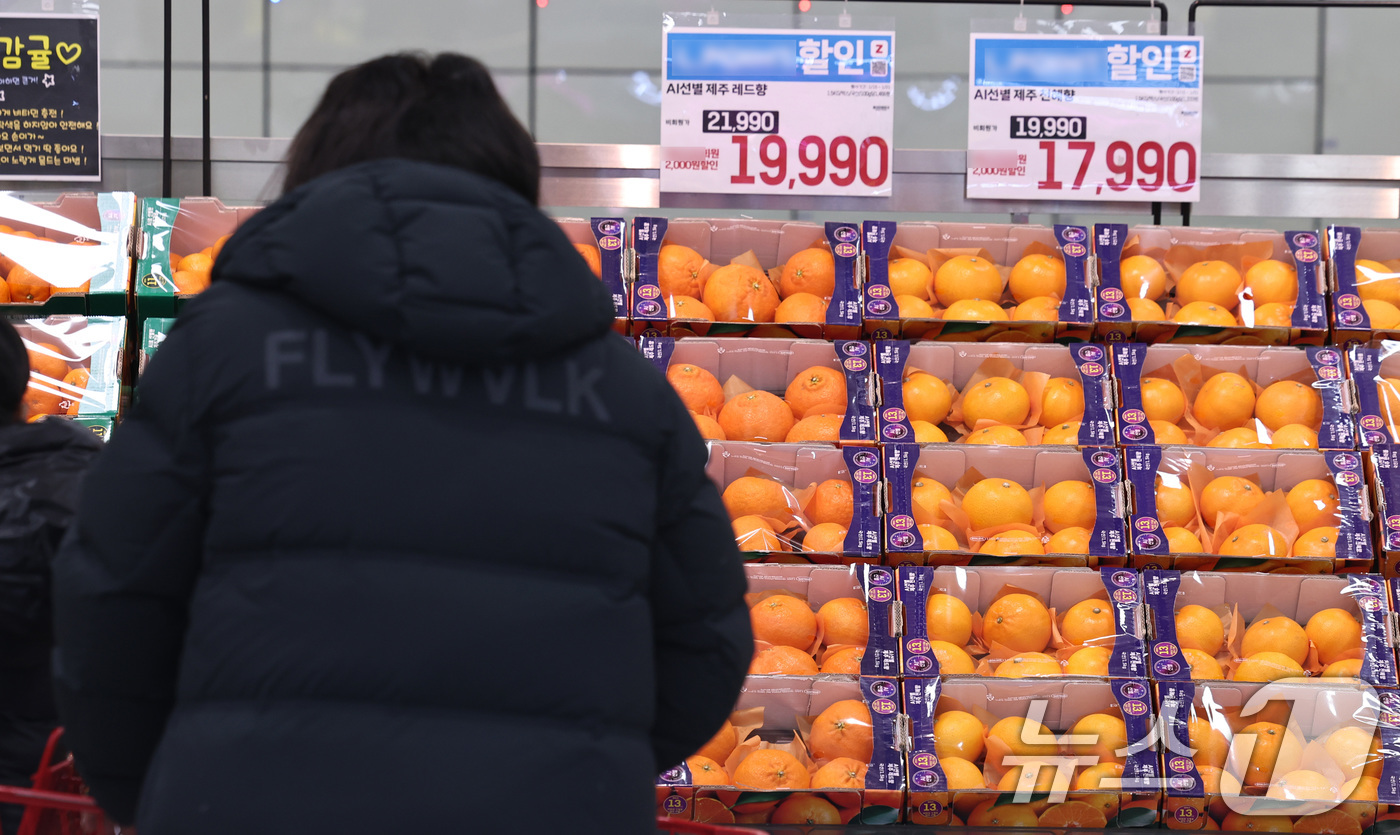 (서울=뉴스1) 구윤성 기자 = 20일 서울 시내의 한 대형마트에서 한 시민이 장을 보고 있다.한국은행이 이날 발표한 '2025년 12월 생산자물가지수(잠정)'에 따르면, 농림수산 …