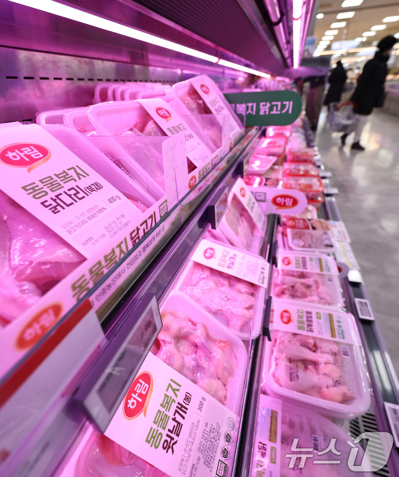 (서울=뉴스1) 구윤성 기자 = 20일 서울의 한 대형마트 매대에 닭고기가 진열돼 있다.한국은행이 이날 발표한 수입물가지수에 따르면, 지난해 12월 기준 원화 기준 수입 식품 물가 …