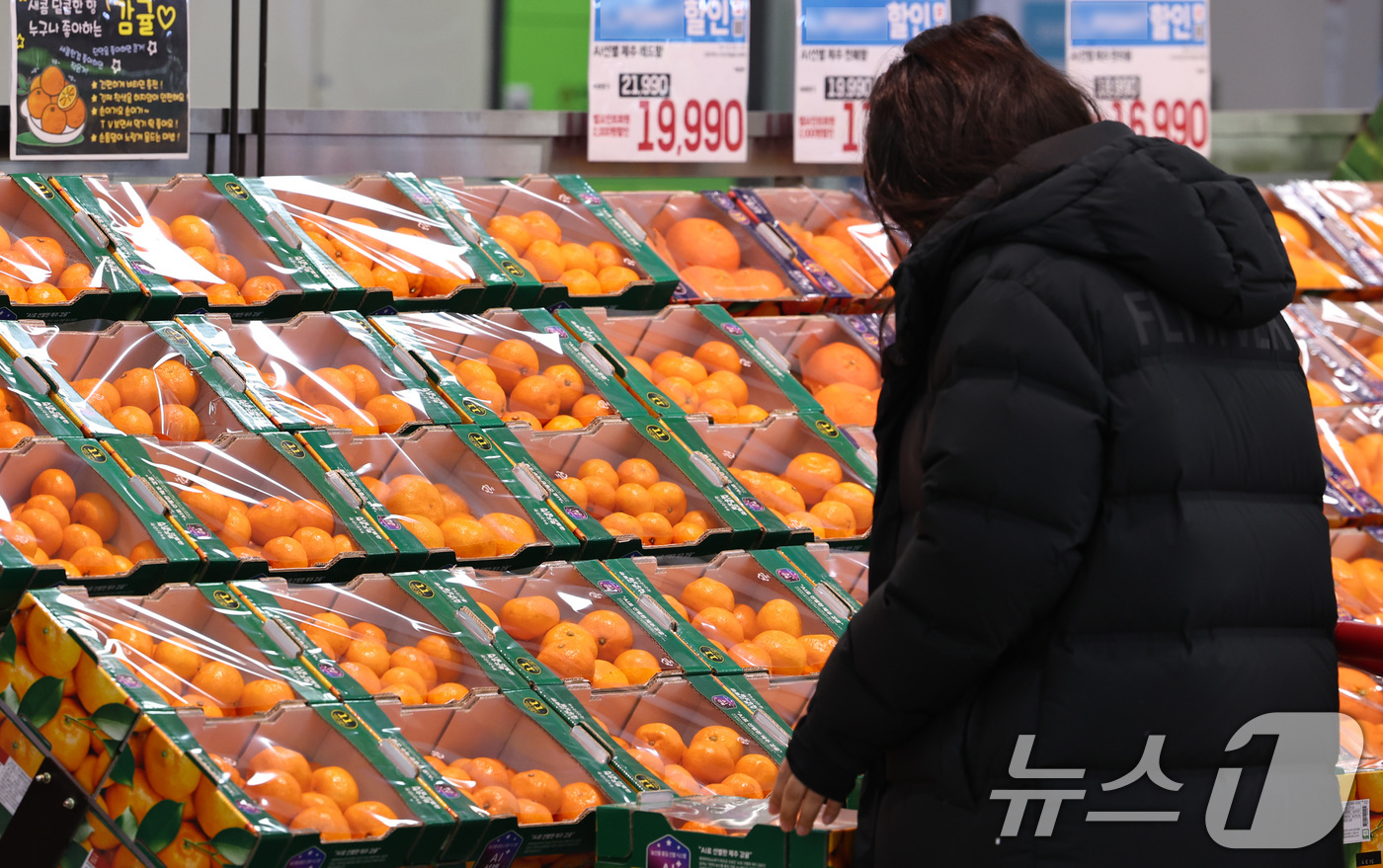 (서울=뉴스1) 구윤성 기자 = 20일 서울 시내의 한 대형마트에서 한 시민이 장을 보고 있다.한국은행이 이날 발표한 '2025년 12월 생산자물가지수(잠정)'에 따르면, 농림수산 …