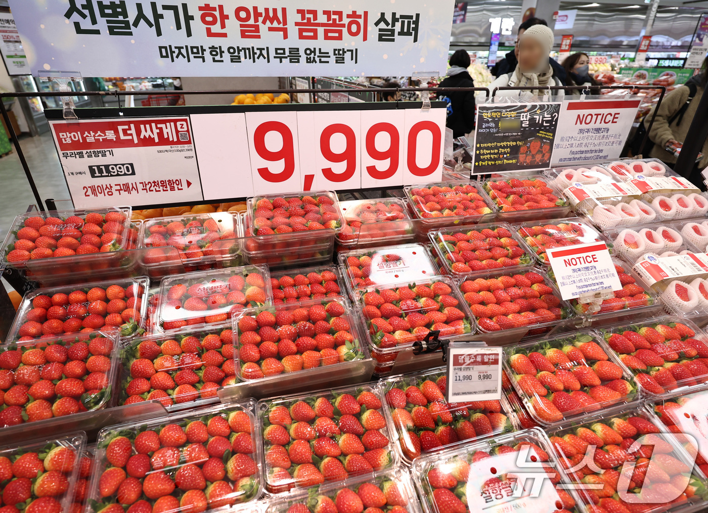 (서울=뉴스1) 구윤성 기자 = 20일 서울 시내의 한 대형마트에서 시민들이 장을 보고 있다.한국은행이 이날 발표한 '2025년 12월 생산자물가지수(잠정)'에 따르면, 농림수산품 …